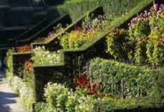 Biddulph Grange Gardens